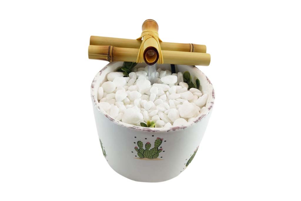 Cactus 1 1024x682 Media Fonte Decorativa Agua Cascata Feng Shui Cactus