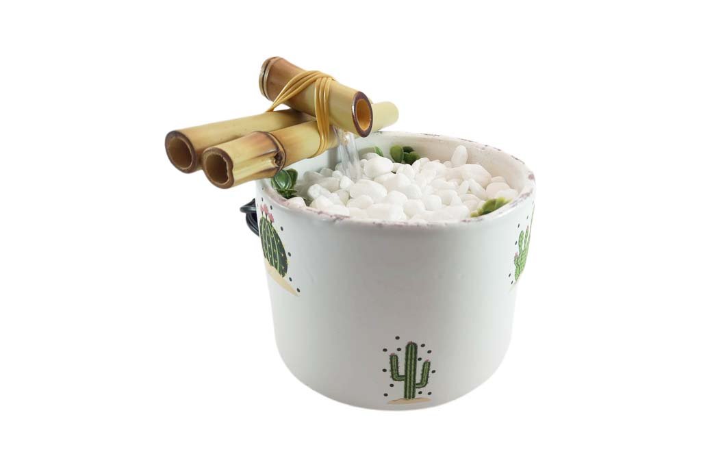 Cactus 3 1024x682 Media Fonte Decorativa Agua Cascata Feng Shui Cactus