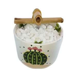 Fonte Decorativa Agua Cascata Feng Shui Cactus Flor