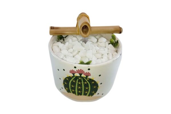 Fonte Decorativa Agua Cascata Feng Shui Cactus Flor