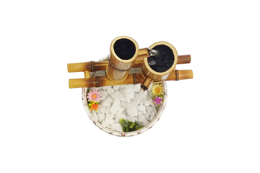 Costela de Adão 2 Quedas 4 1024x682 Media Fonte Decorativa Costela de Adão 2 Quedas