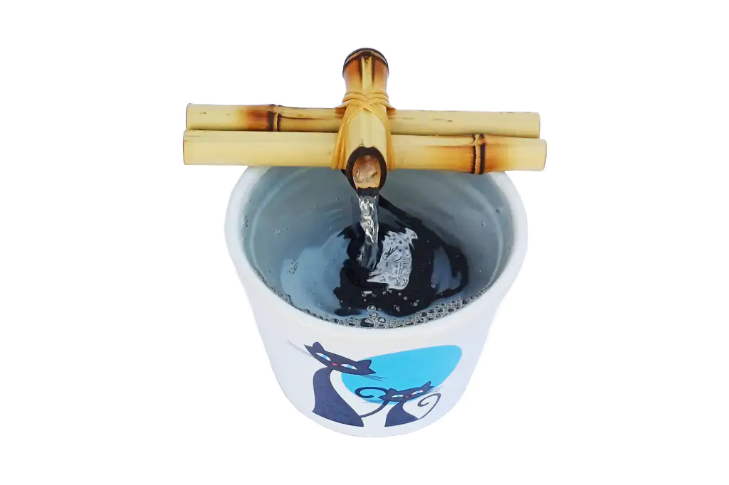 Gatos 1A 1024x682 Wepb Fonte Bebedouro para Gatos em Cerâmica Bivolt Gatos