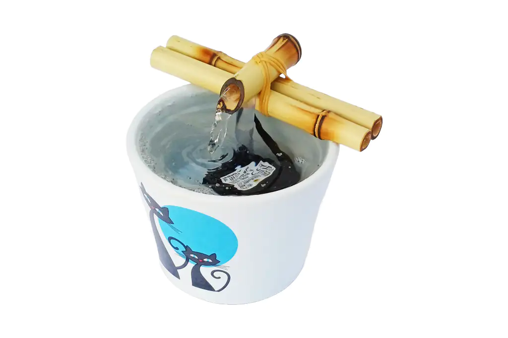 Gatos 2 1024x682 Wepb Fonte Bebedouro para Gatos em Cerâmica Bivolt Gatos