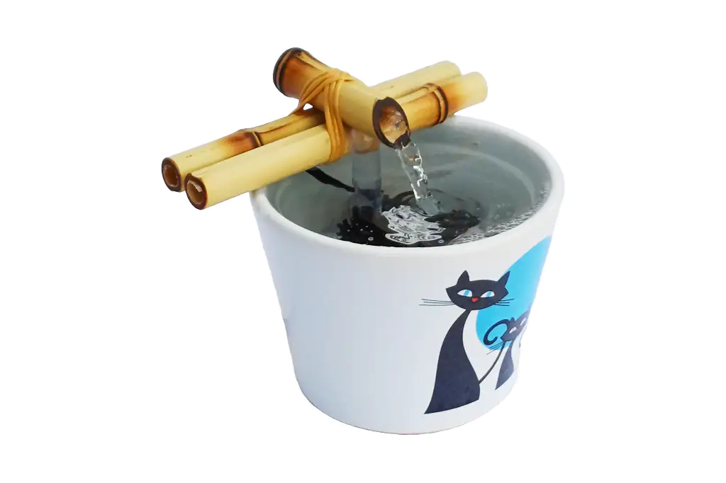 Gatos 3 1024x682 Wepb Fonte Bebedouro para Gatos em Cerâmica Bivolt Gatos