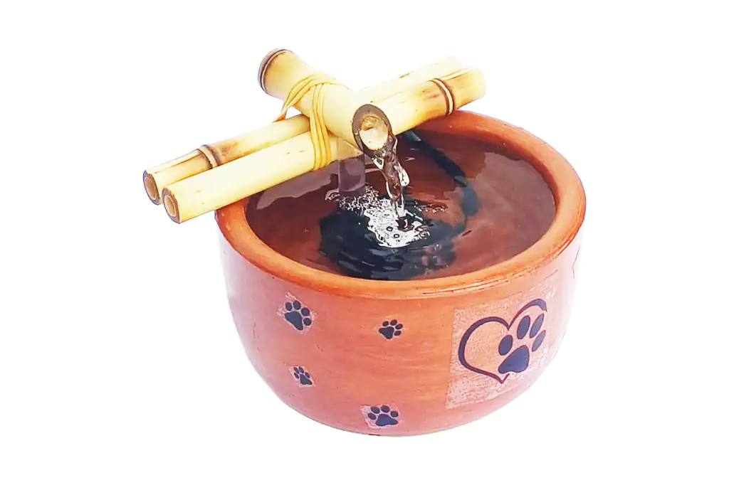 Natural Pet 14 Adesivo Natural 2 1024x682 Wepb Fonte Bebedouro para Gatos em Cerâmica Bivolt Natural 14 Decorada