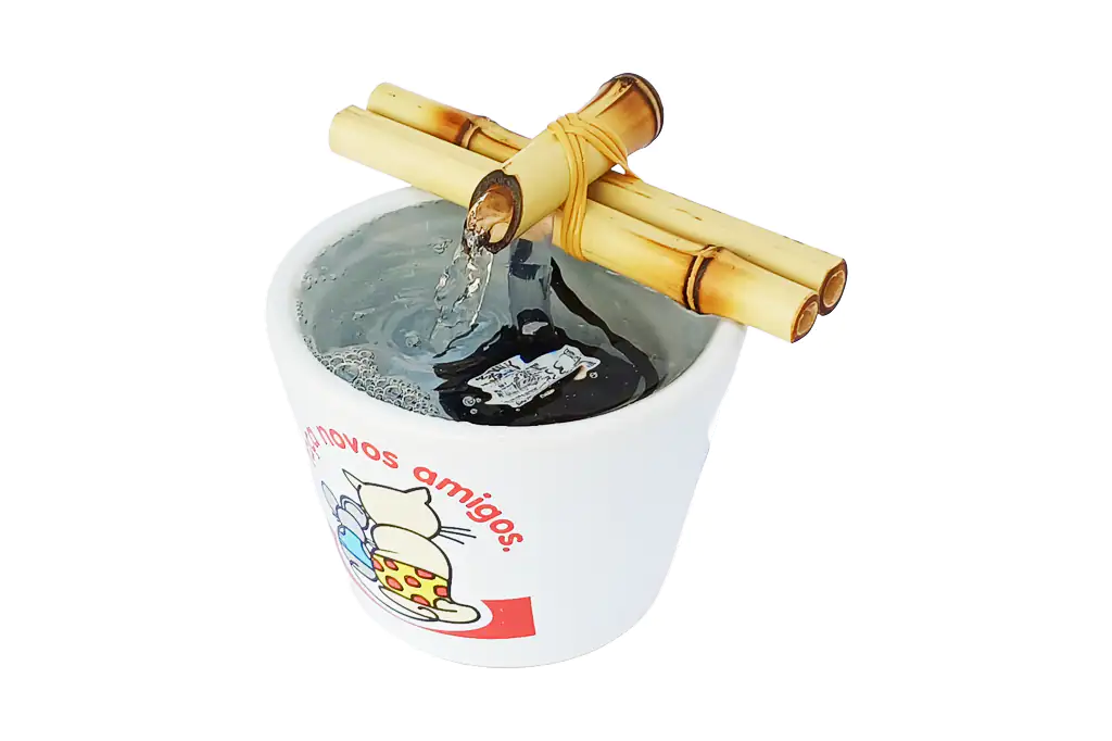 Novos Amigos 2 1024x682 Wepb Fonte de Agua para Gatos Bivolt Novos Amigos